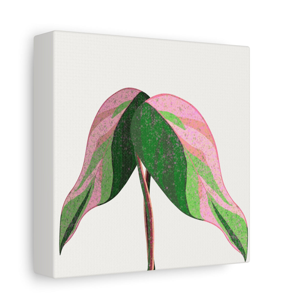 Pink Princess Philodendron Canvas Print – Botanical Wall Art