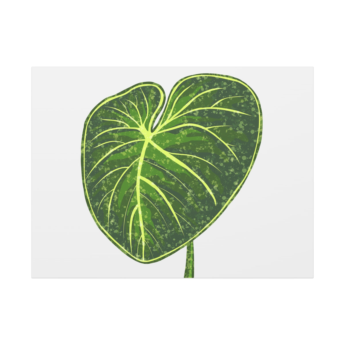 Philodendron Gloriosum Canvas Print – Botanical Wall Art