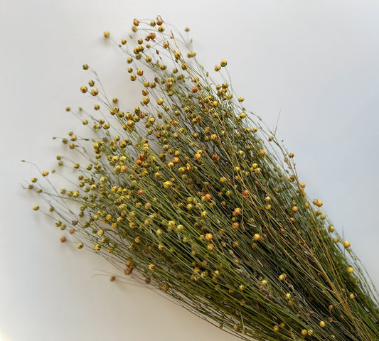 Dried Flax
