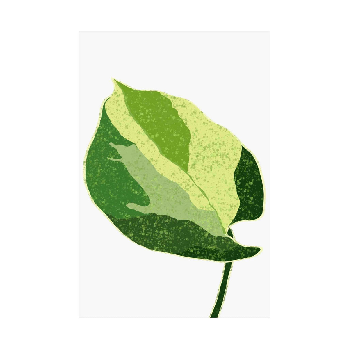 Manjula Pothos Illustrated Botanical Print – Unframed Wall Art