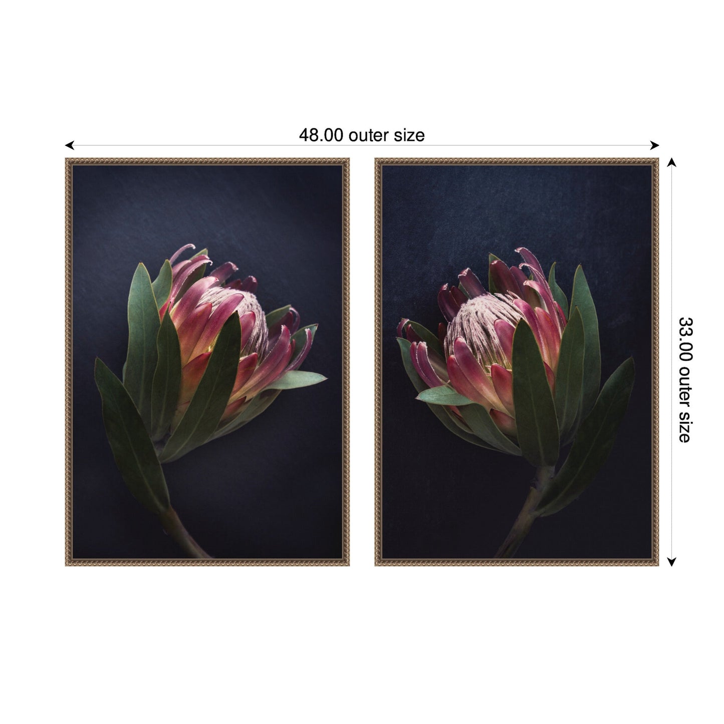 Moody ProteaNo. 1 & No. 2 2 Piece Framed Canvas Wall Art Set by Emiko and Mark Franzen F2 Images