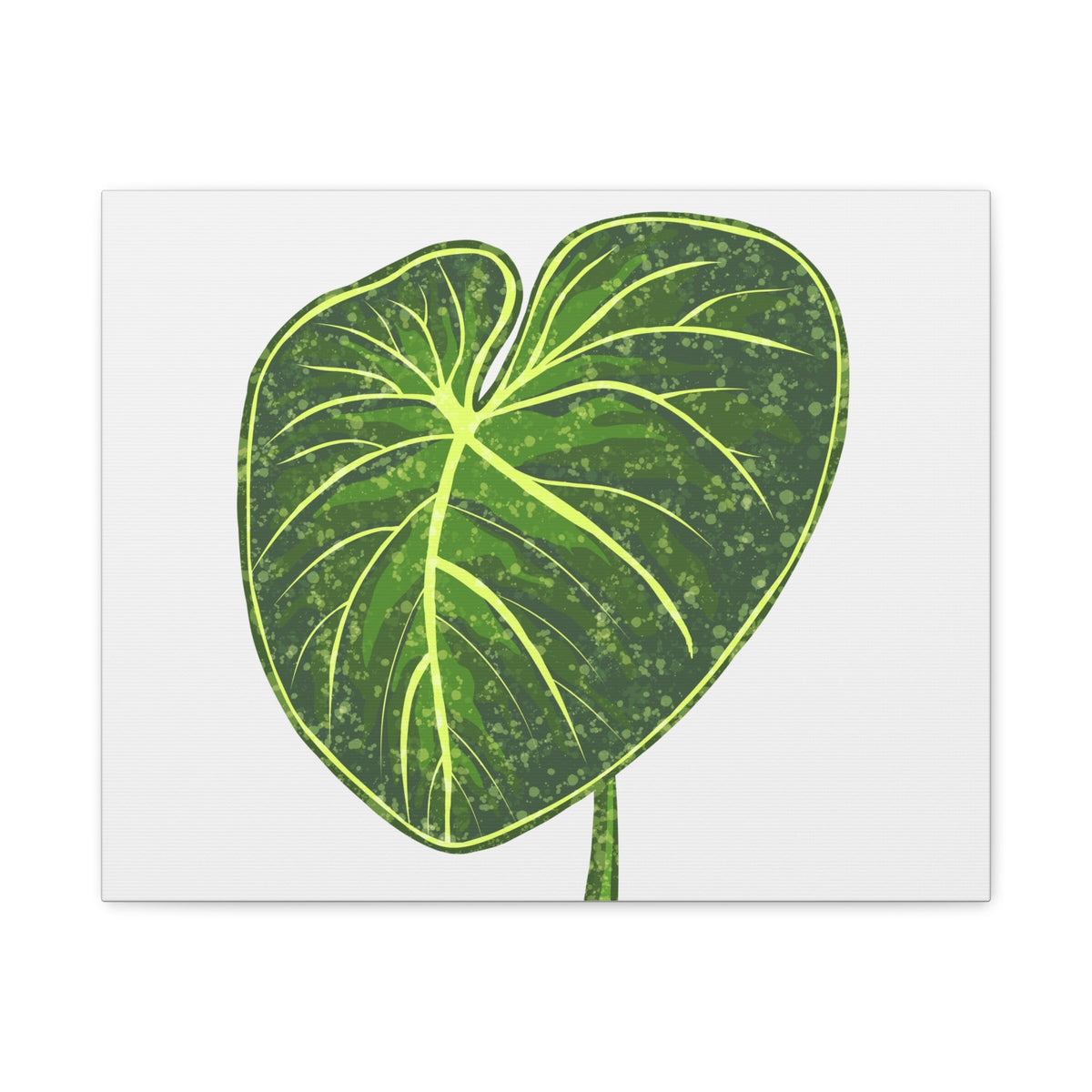 Philodendron Gloriosum Canvas Print – Botanical Wall Art