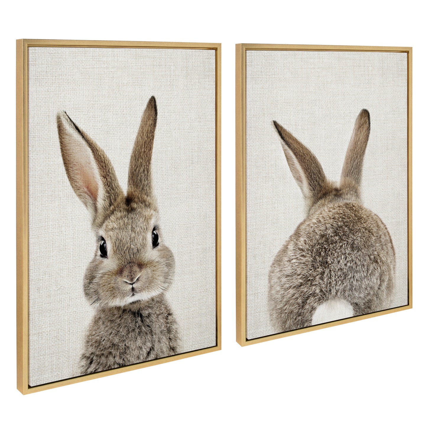 Sylvie Bunny Portrait and Bunny Tail Framed Canvas Art Set by Amy Peterson Art Studio