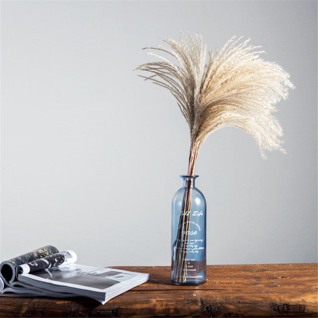 Luxe Cloud Pampas Grass - Extra Fluffy Natural Dried Stems for Floor Vases & Boho Wedding Decor