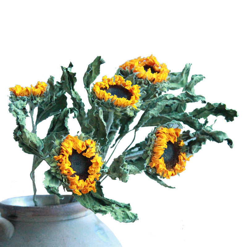 Golden Hour Dried Sunflowers - Hand-Preserved Everlasting Blooms for Home & Gifting