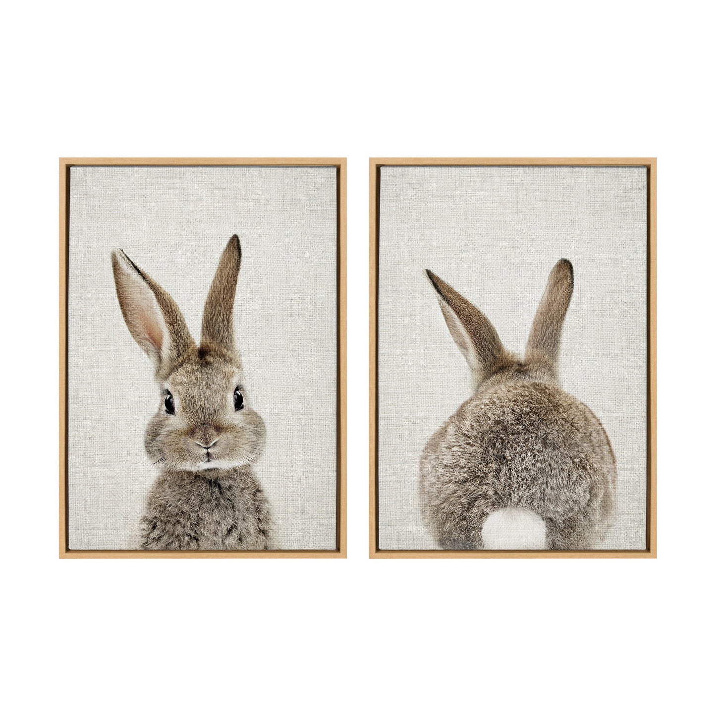 Sylvie Bunny Portrait and Bunny Tail Framed Canvas Art Set by Amy Peterson Art Studio