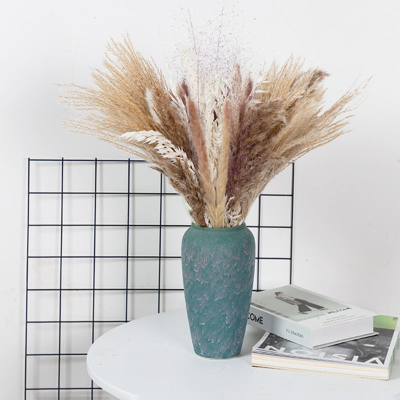 Boho-Chic Natural Dried Pampas Reeds - Hand-Selected Decorative Bouquet