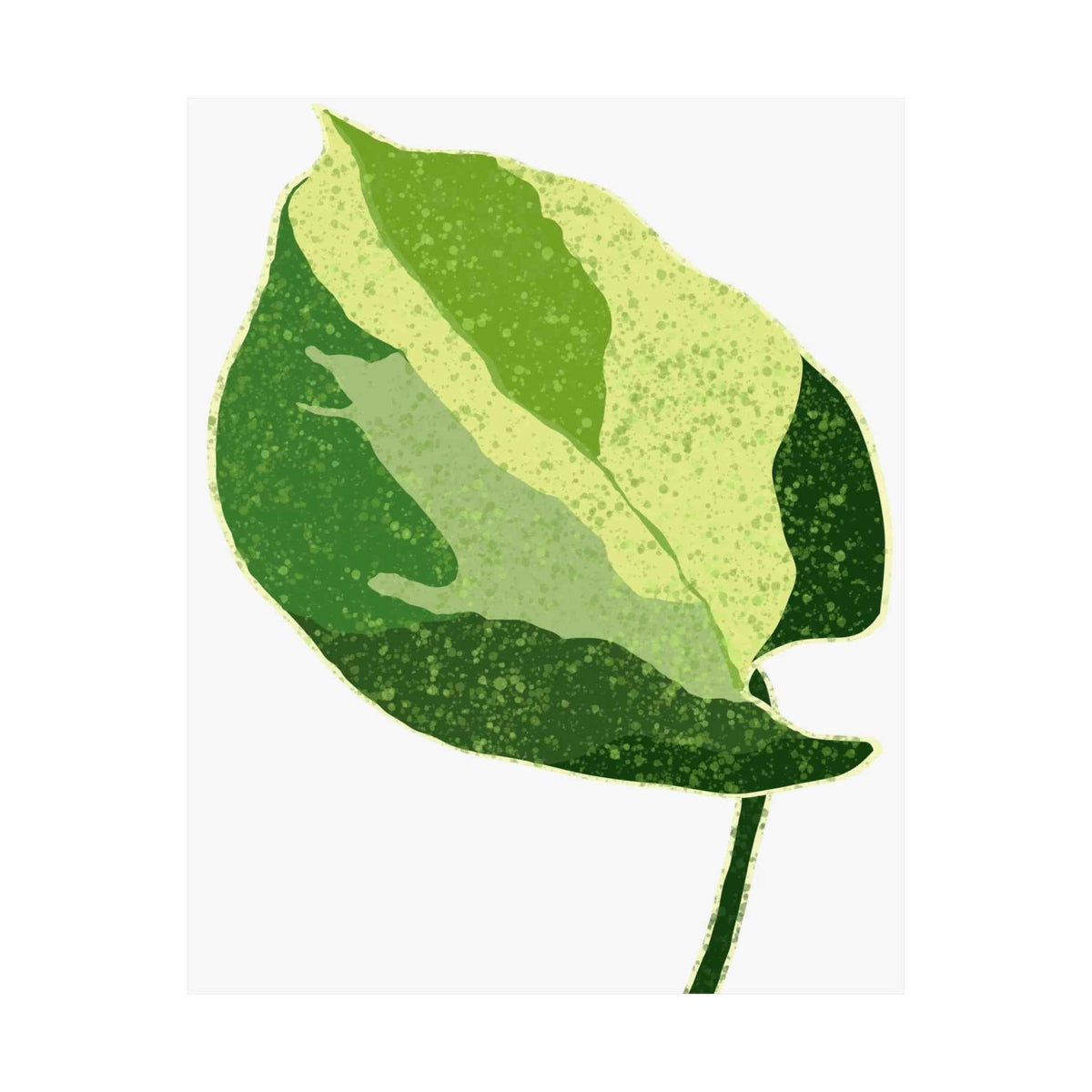 Manjula Pothos Illustrated Botanical Print – Unframed Wall Art