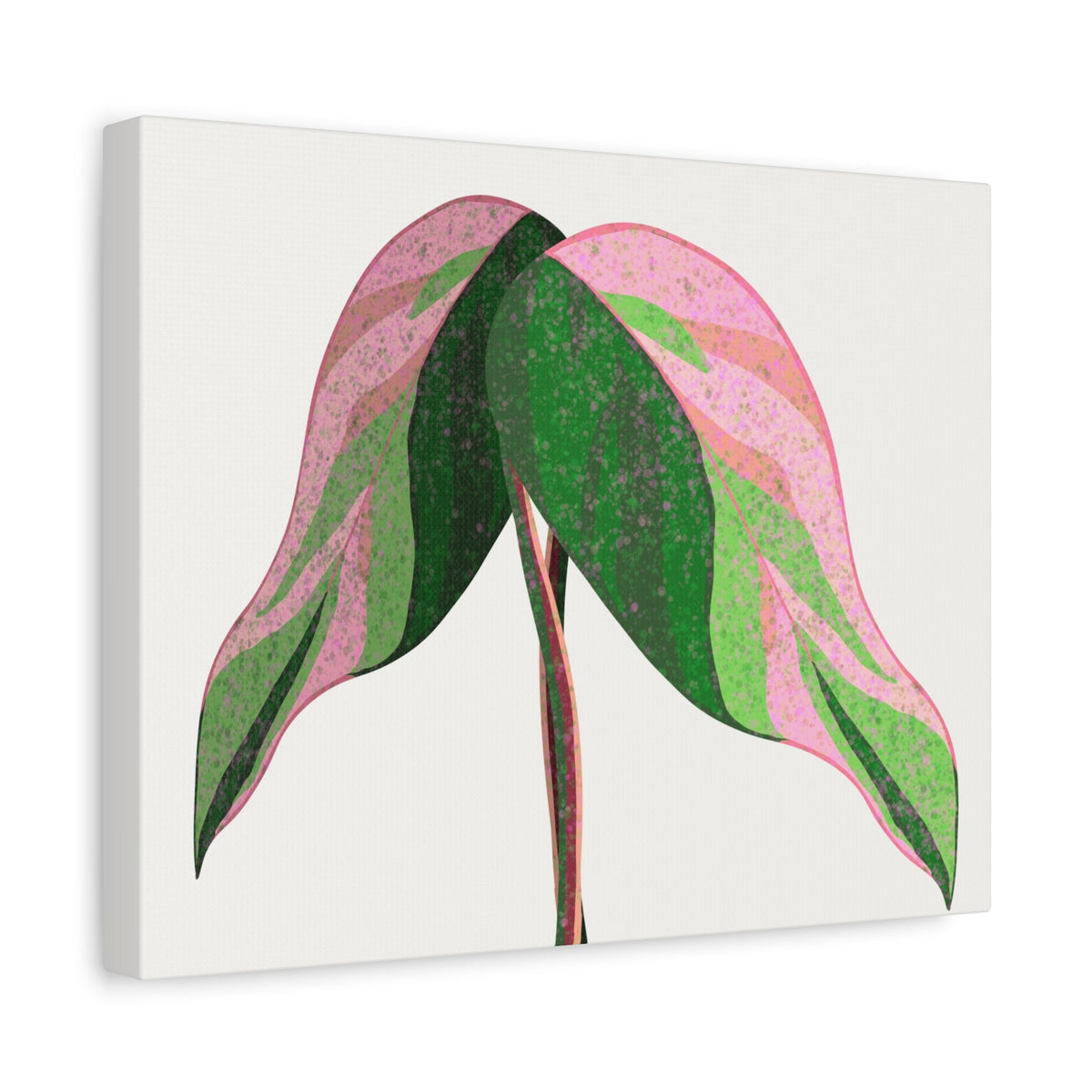 Pink Princess Philodendron Canvas Print – Botanical Wall Art