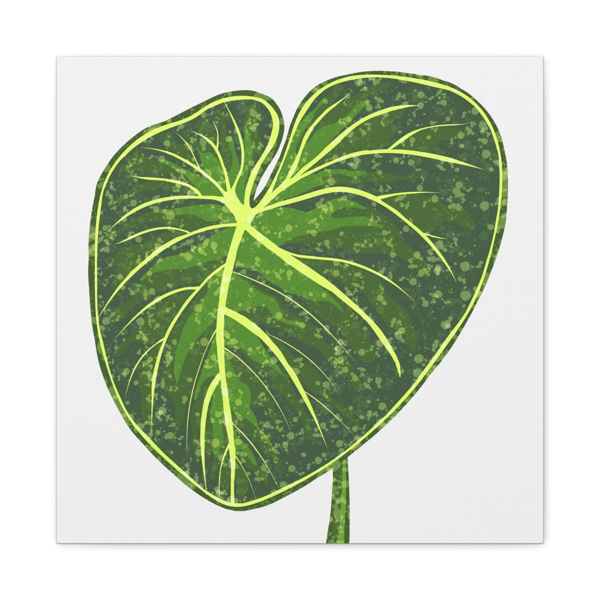 Philodendron Gloriosum Canvas Print – Botanical Wall Art