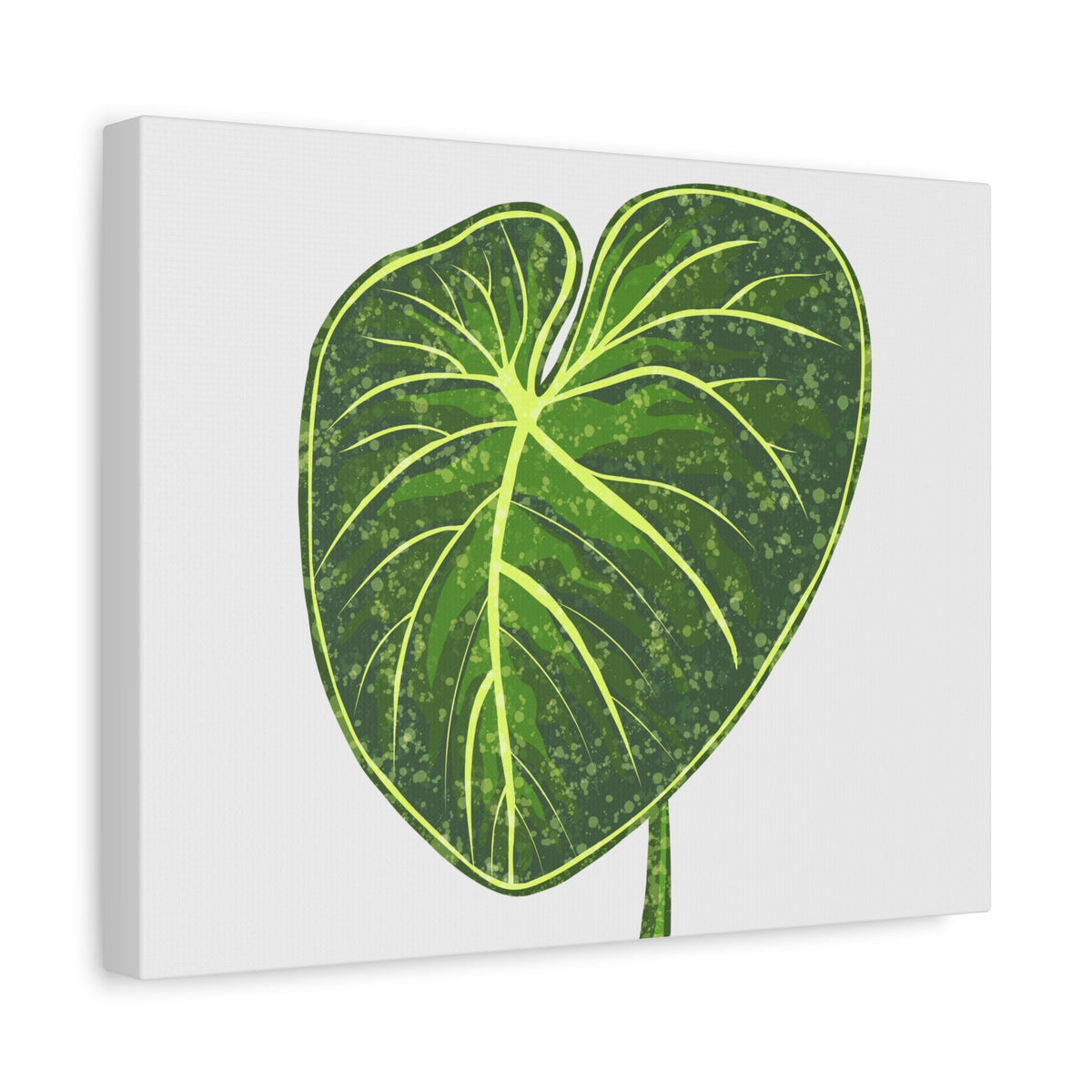 Philodendron Gloriosum Canvas Print – Botanical Wall Art