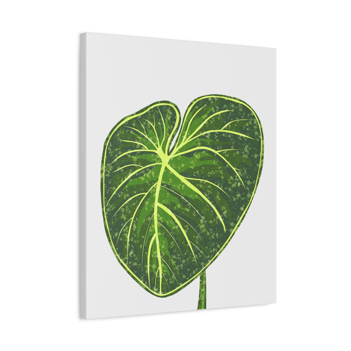Philodendron Gloriosum Canvas Print – Botanical Wall Art