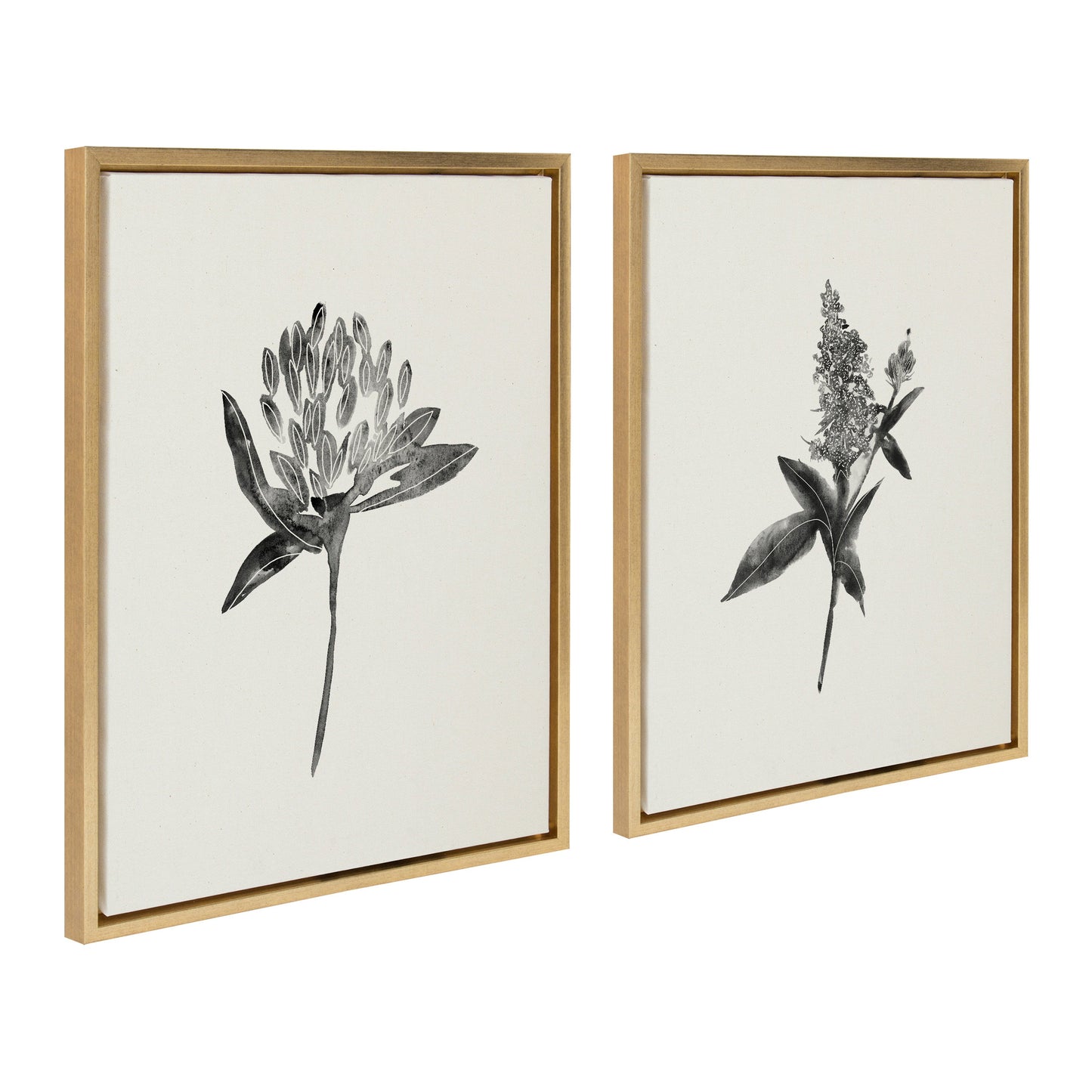 Sylvie Vintage Botanical 1 and 2 Framed Canvas by Teju Reval of SnazzyHues