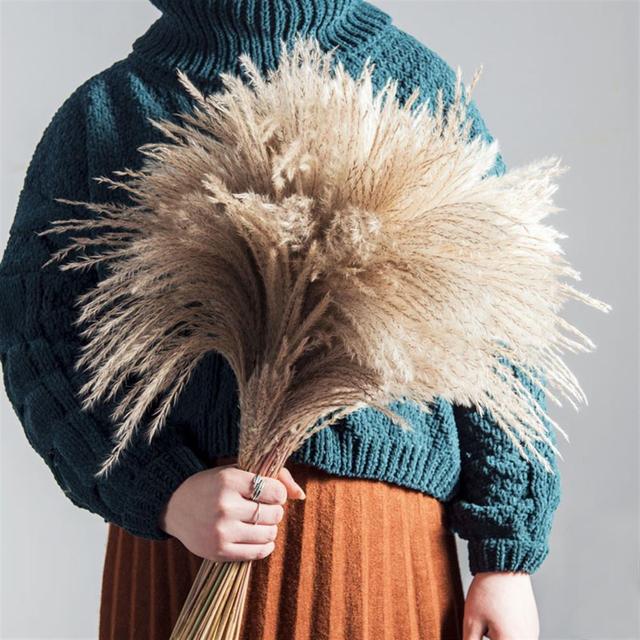 Luxe Cloud Pampas Grass - Extra Fluffy Natural Dried Stems for Floor Vases & Boho Wedding Decor