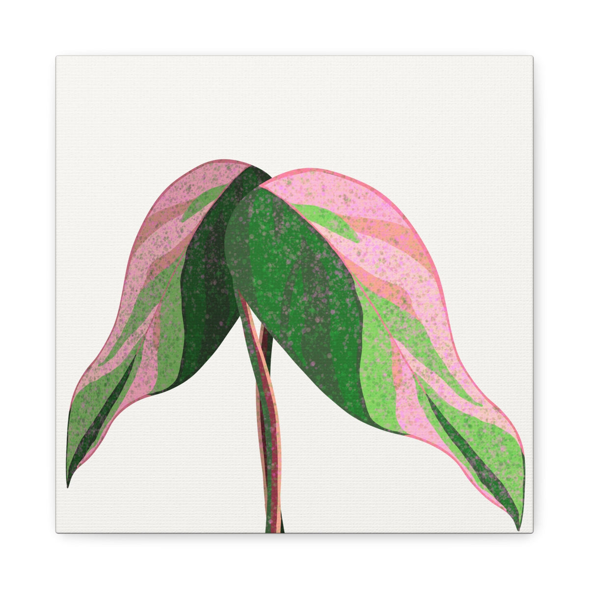 Pink Princess Philodendron Canvas Print – Botanical Wall Art