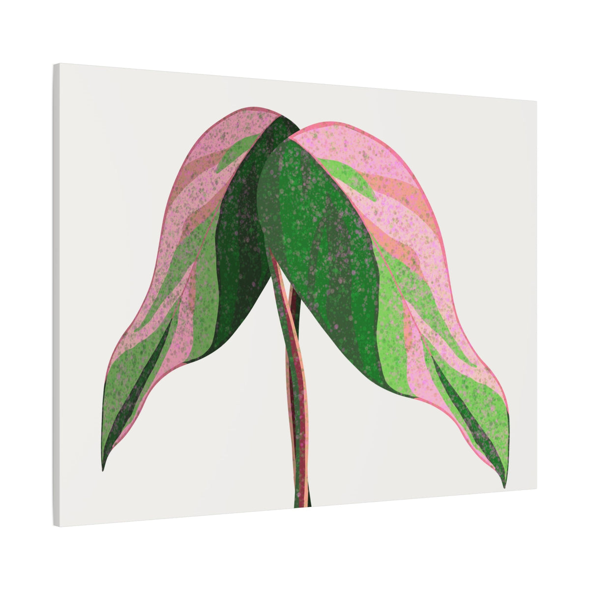 Pink Princess Philodendron Canvas Print – Botanical Wall Art
