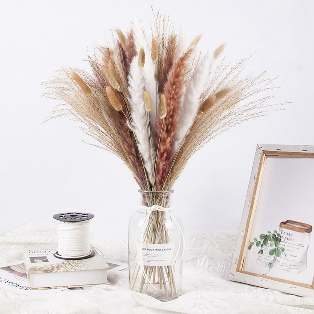 Boho-Chic Natural Dried Pampas Reeds - Hand-Selected Decorative Bouquet