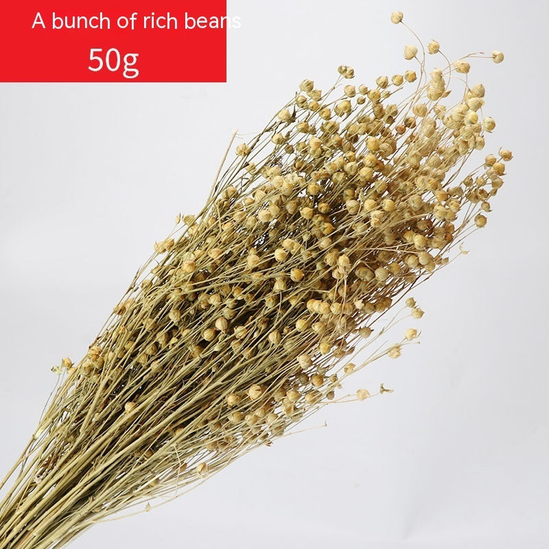 Golden Harvest Dried Wheat Stems - 100pc Natural Sun-Dried Bouquet for Rustic Home & Wedding Decor