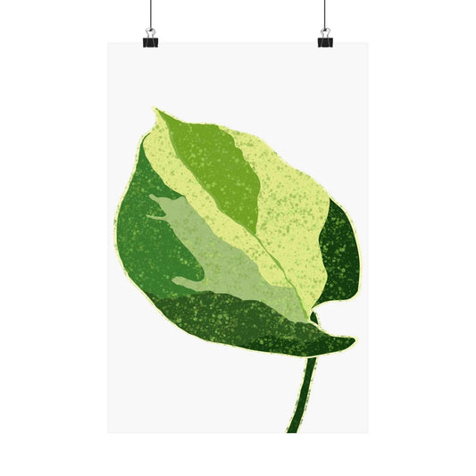 Manjula Pothos Illustrated Botanical Print – Unframed Wall Art