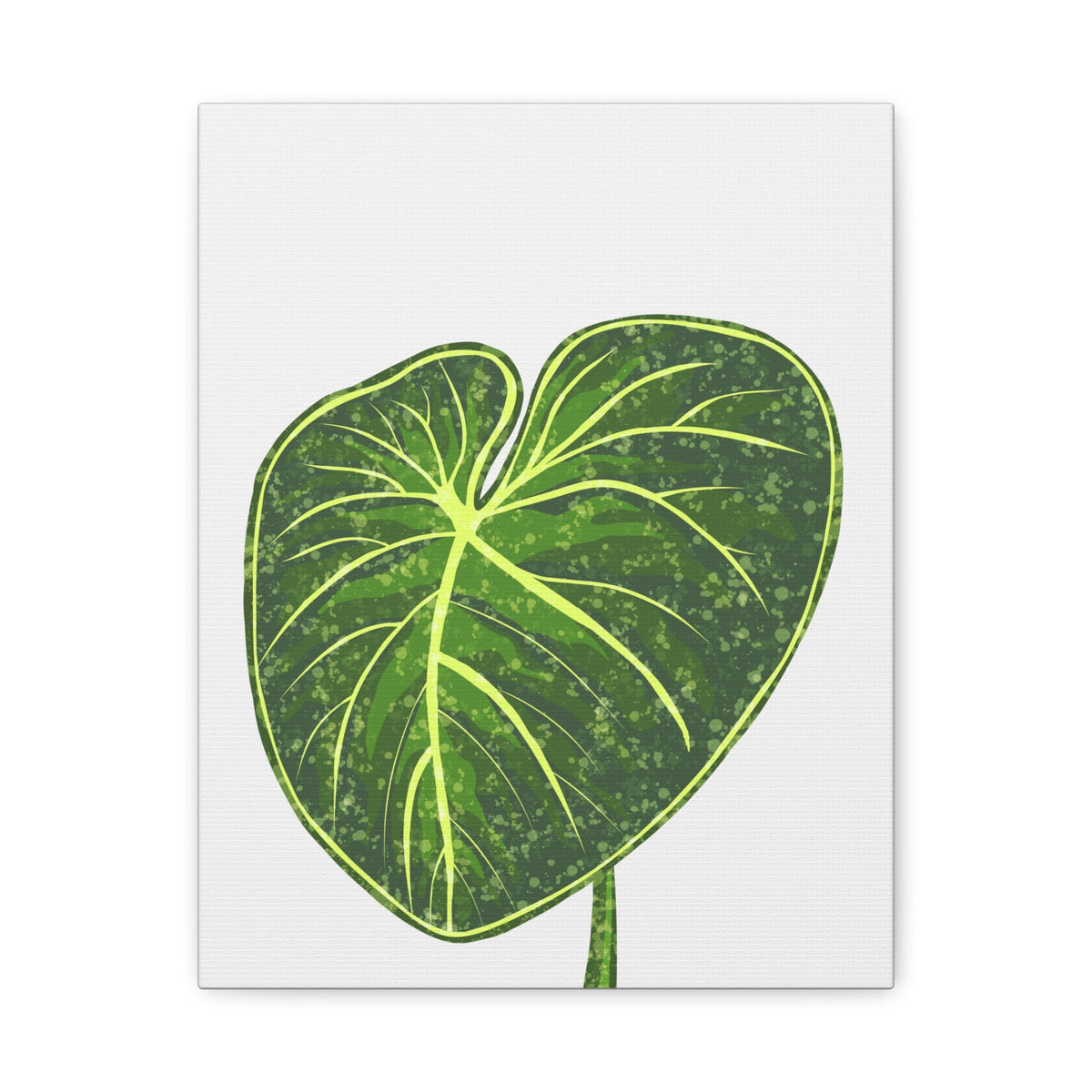 Philodendron Gloriosum Canvas Print – Botanical Wall Art