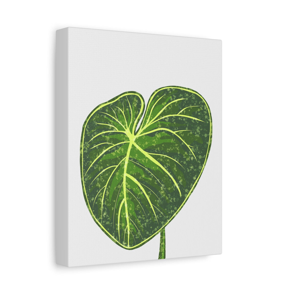 Philodendron Gloriosum Canvas Print – Botanical Wall Art