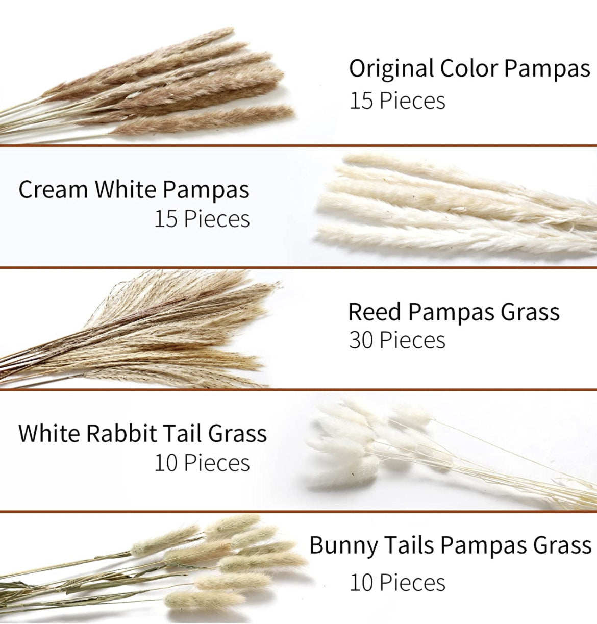 Boho-Chic Natural Dried Pampas Reeds - Hand-Selected Decorative Bouquet