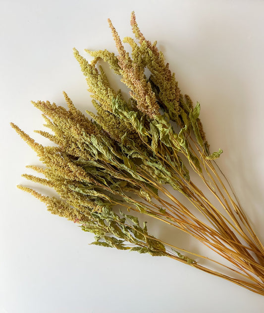Dried Amaranth Pistachio