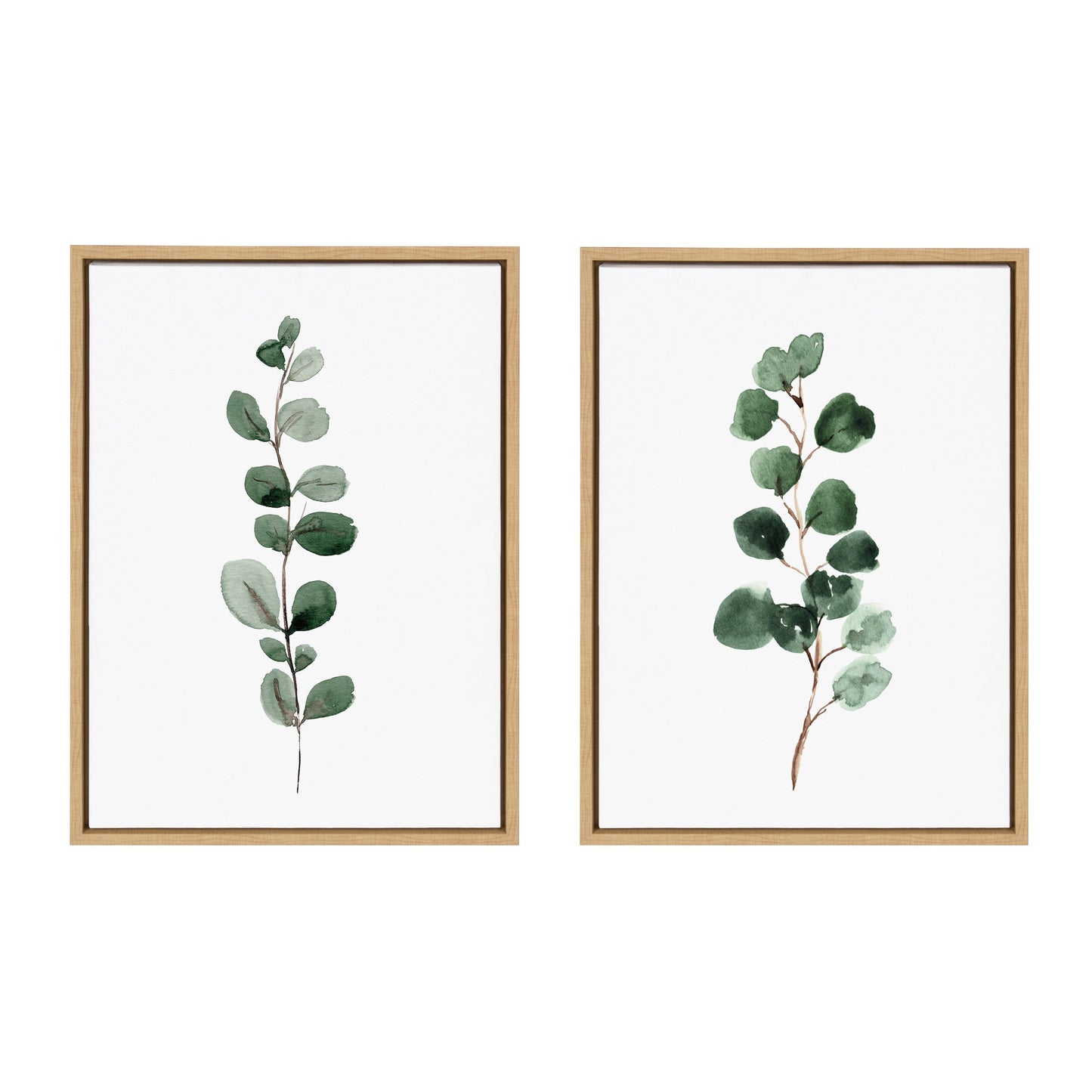 Eucalyptus Framed Canvas Set by Maja Mitrovic