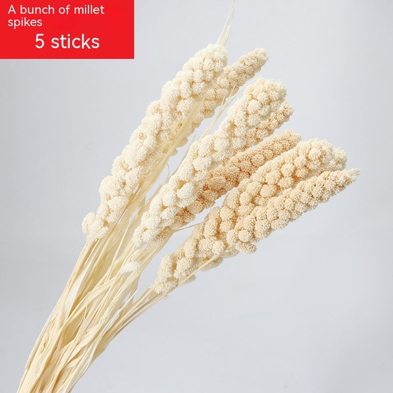 Golden Harvest Dried Wheat Stems - 100pc Natural Sun-Dried Bouquet for Rustic Home & Wedding Decor