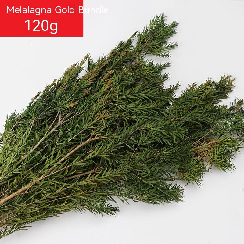 Golden Harvest Dried Wheat Stems - 100pc Natural Sun-Dried Bouquet for Rustic Home & Wedding Decor