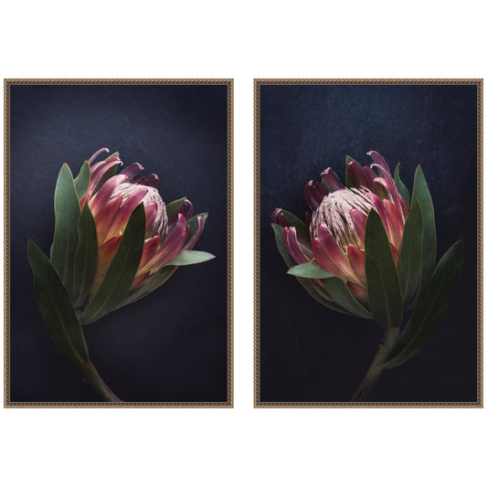 Moody ProteaNo. 1 & No. 2 2 Piece Framed Canvas Wall Art Set by Emiko and Mark Franzen F2 Images