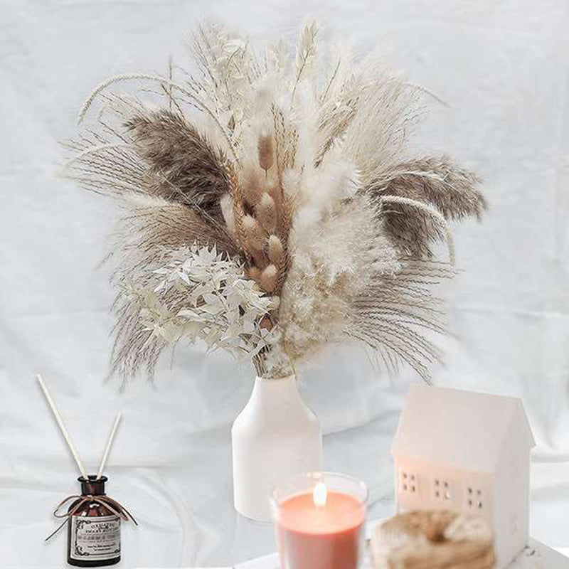 Boho-Chic Natural Dried Pampas Reeds - Hand-Selected Decorative Bouquet