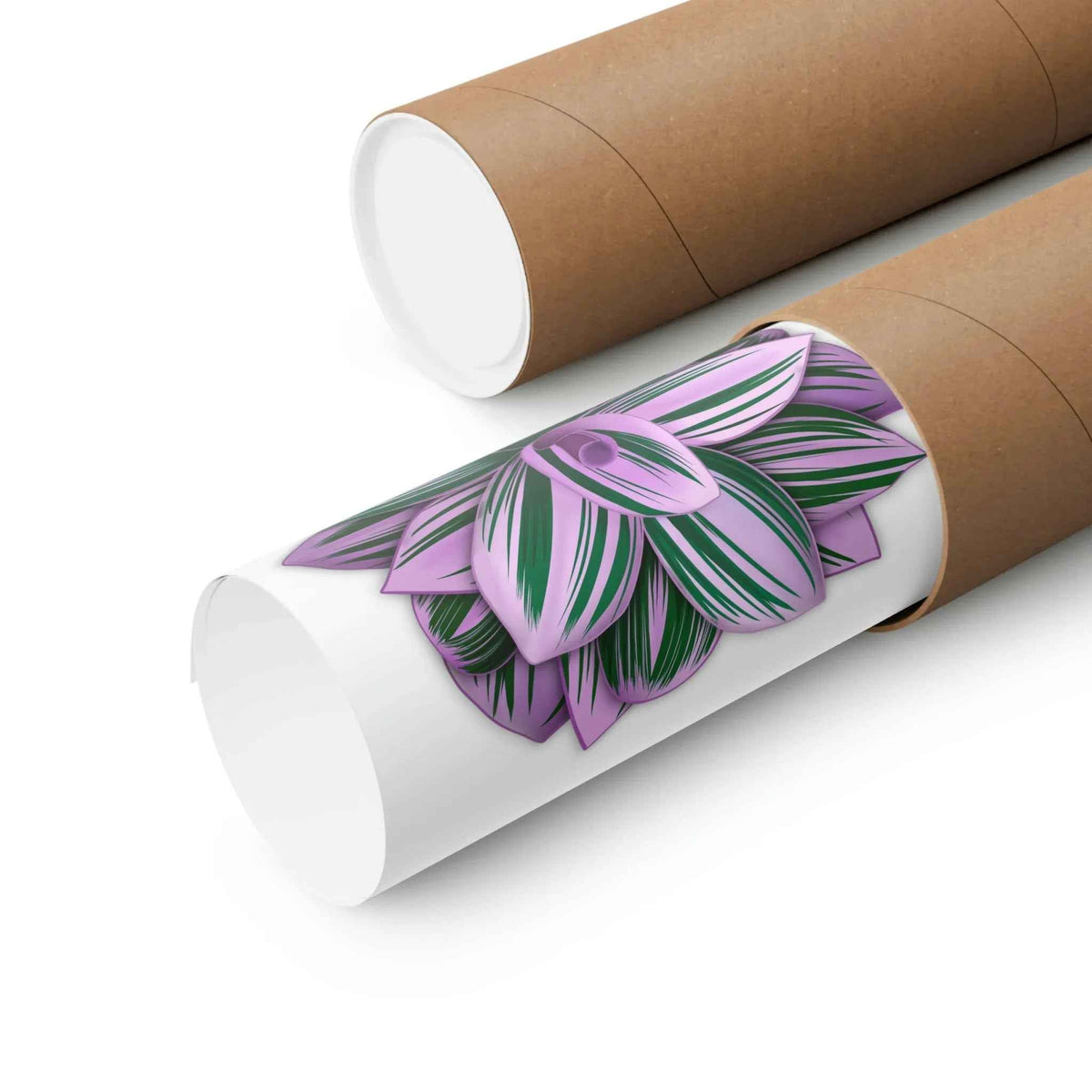 Tradescantia Nanouk Botanical Print – Unframed Wall Art