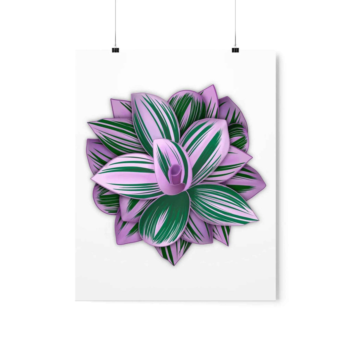 Tradescantia Nanouk Botanical Print – Unframed Wall Art