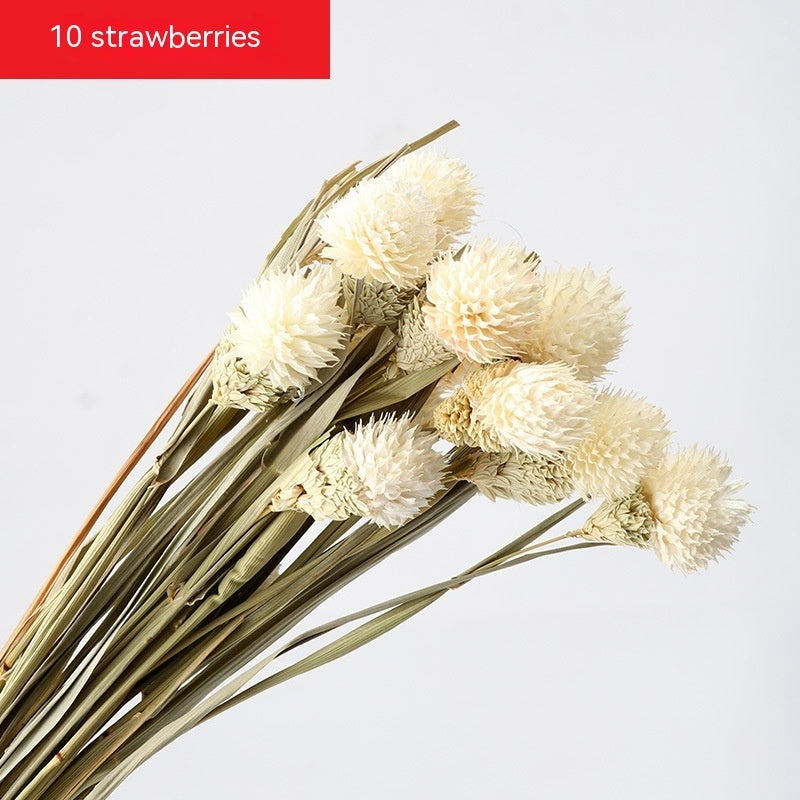 Golden Harvest Dried Wheat Stems - 100pc Natural Sun-Dried Bouquet for Rustic Home & Wedding Decor