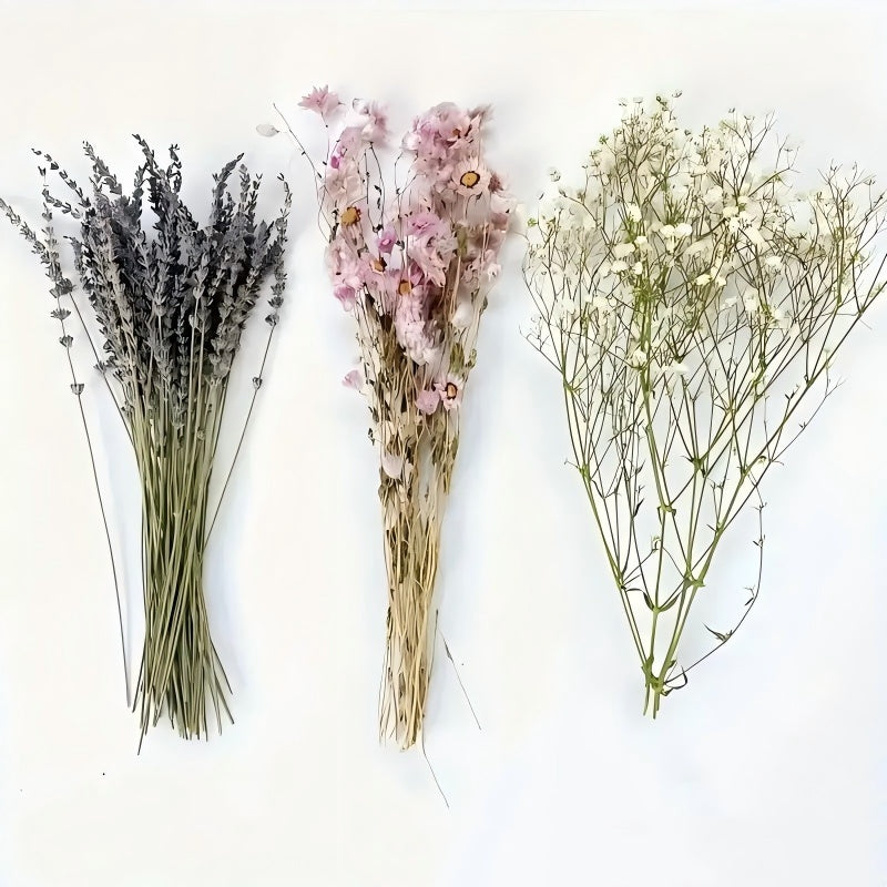 Provencal Stillness: Ultra-Fragrant French Lavender Bouquet
