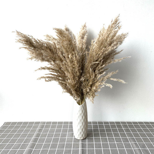 Luxe Cloud Pampas Grass - Extra Fluffy Natural Dried Stems for Floor Vases & Boho Wedding Decor