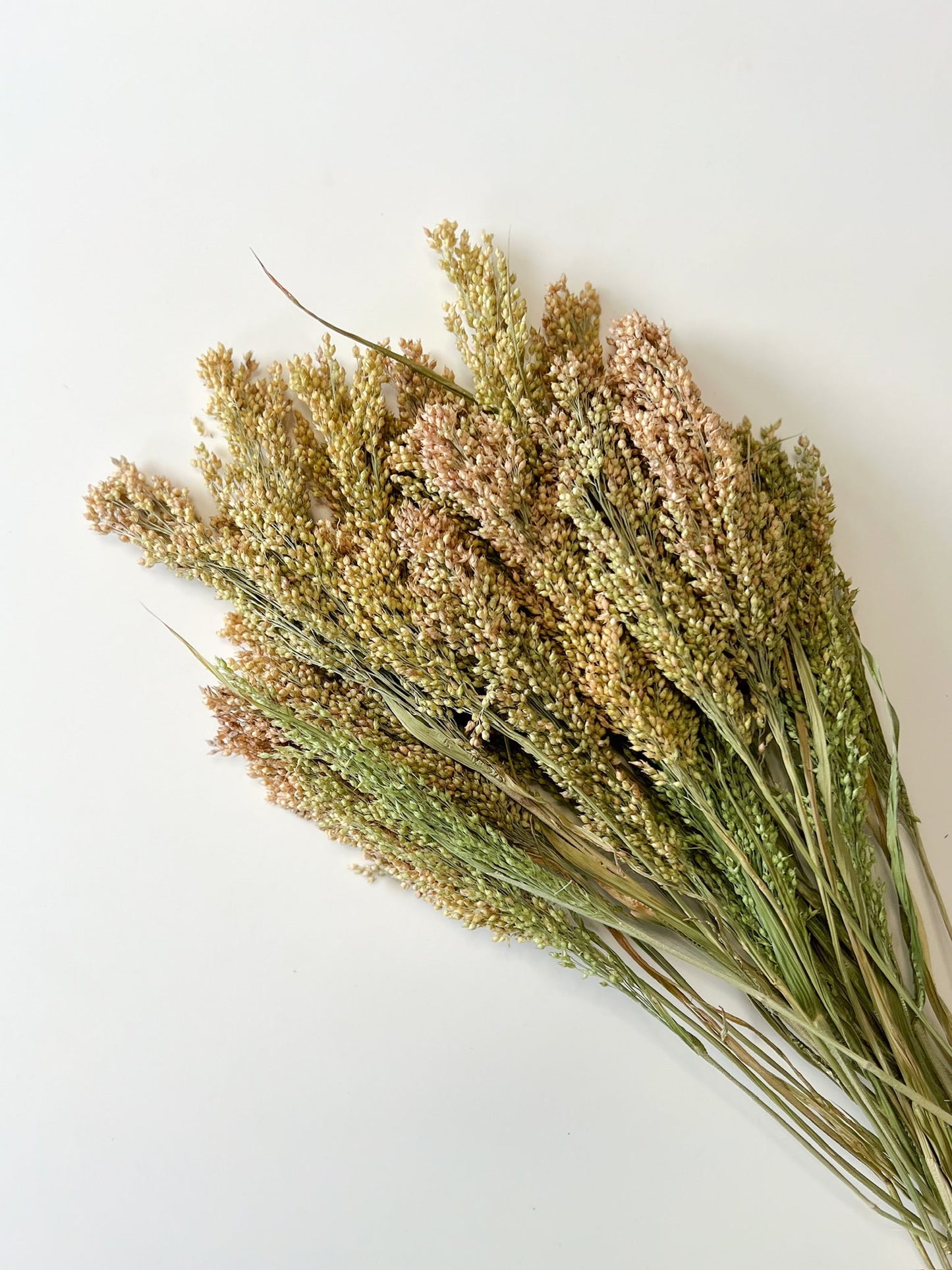 Dried Proso Millet