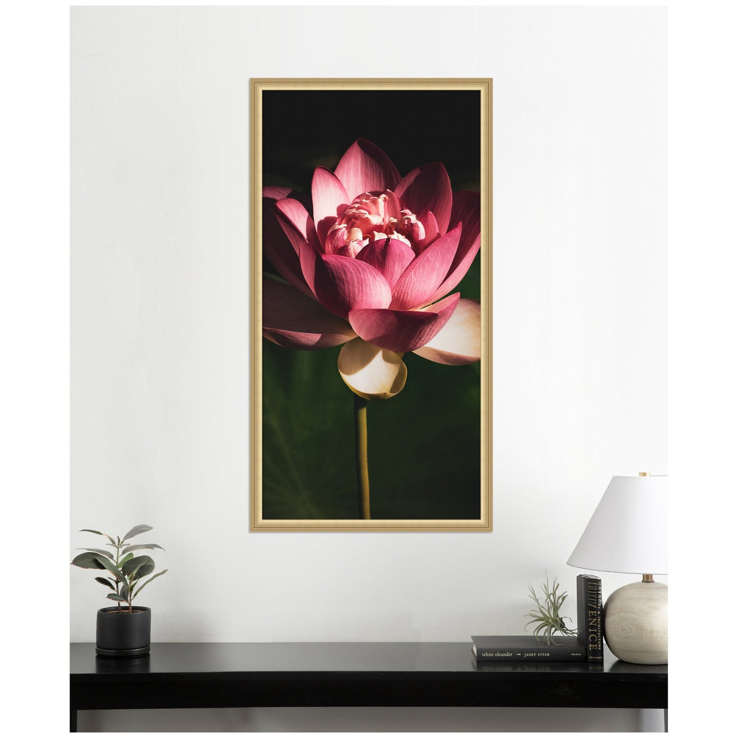 Limited Edition Midnight Lotus Flower by Stephanie Klatt Framed Wall Art Print