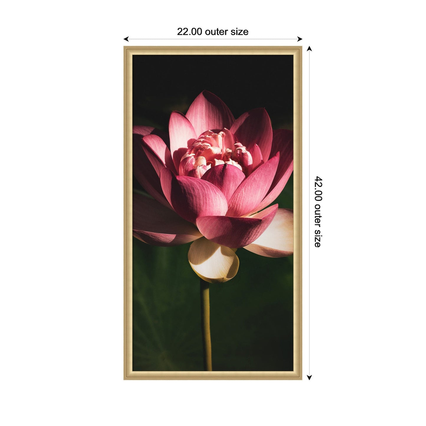 Limited Edition Midnight Lotus Flower by Stephanie Klatt Framed Wall Art Print