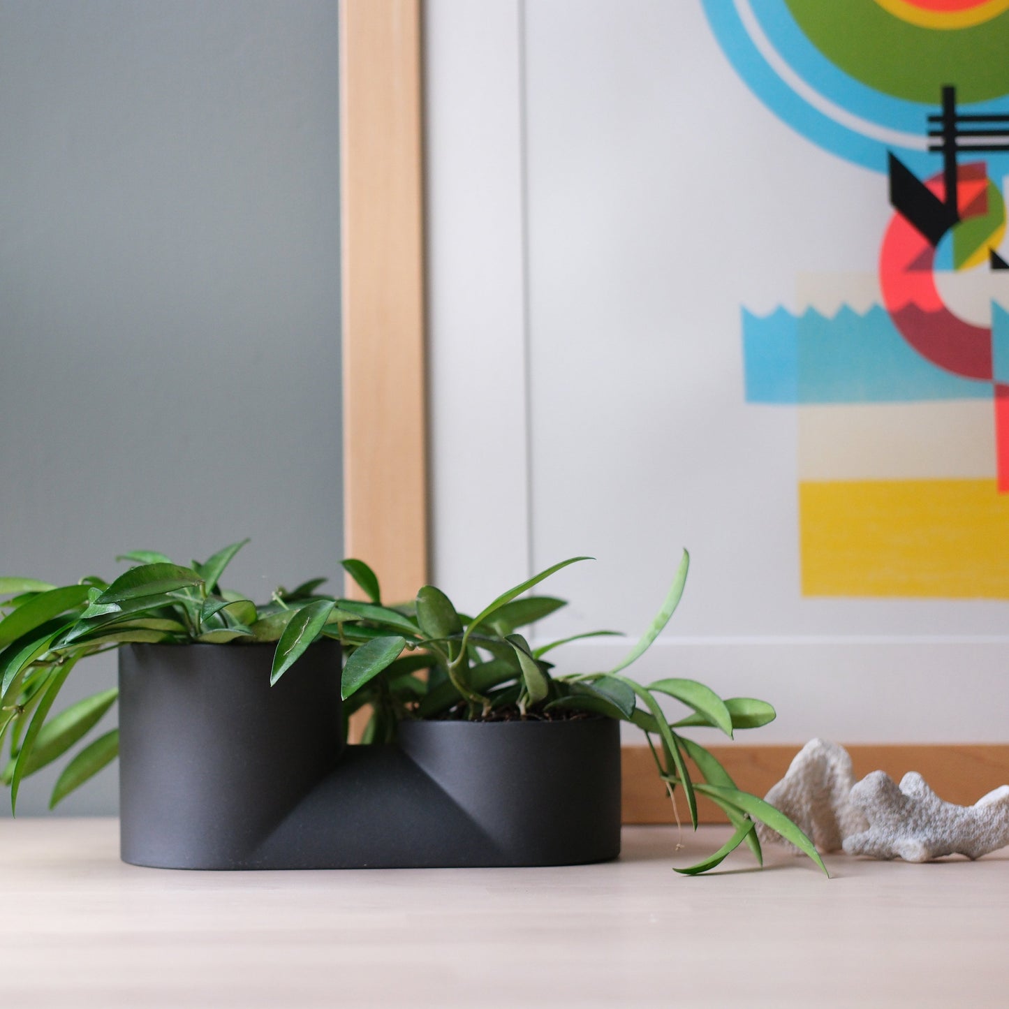 Two black planters with green plants on a surface, colorful abstract art in the background.