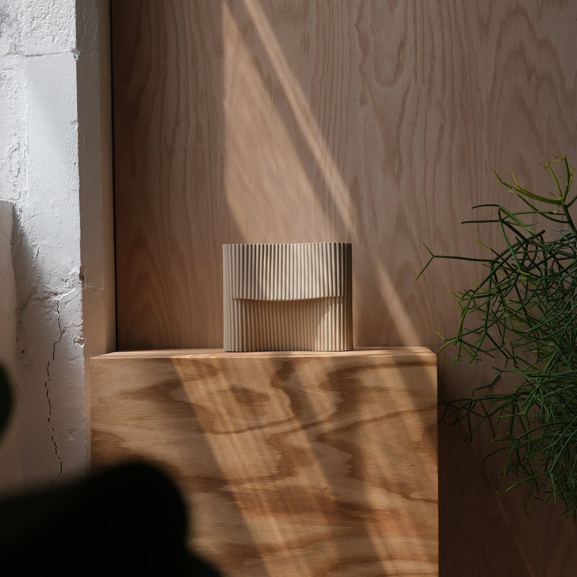Wooden box with a textured surface on a wooden platform, with a plant in the background.