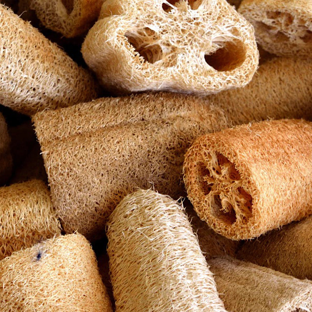 Natural Loofah Sponge
