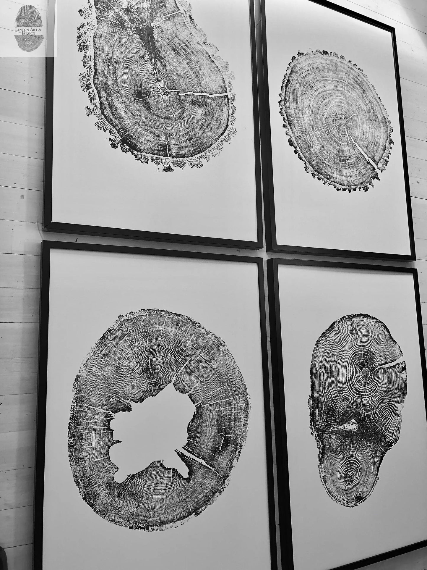 Oak, Pine, & Hemlock Set of 4 - 24x36 each print