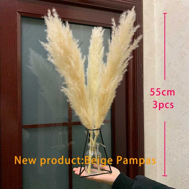 Luxe Cloud Pampas Grass - Extra Fluffy Natural Dried Stems for Floor Vases & Boho Wedding Decor