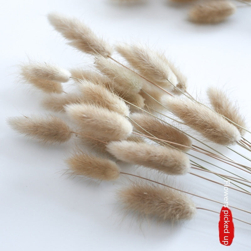 Golden Harvest Dried Wheat Stems - 100pc Natural Sun-Dried Bouquet for Rustic Home & Wedding Decor