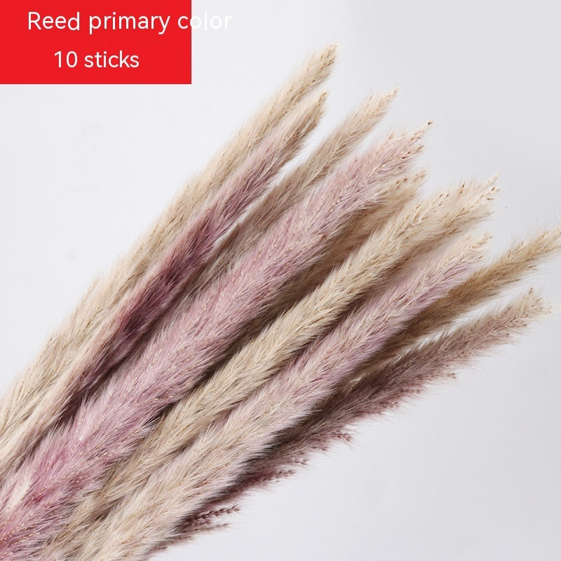 Golden Harvest Dried Wheat Stems - 100pc Natural Sun-Dried Bouquet for Rustic Home & Wedding Decor