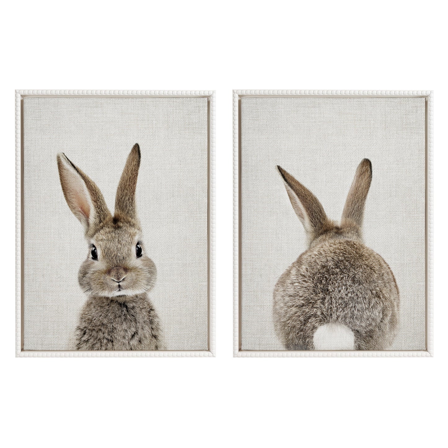 Sylvie Bunny Portrait and Bunny Tail Framed Canvas Art Set by Amy Peterson Art Studio
