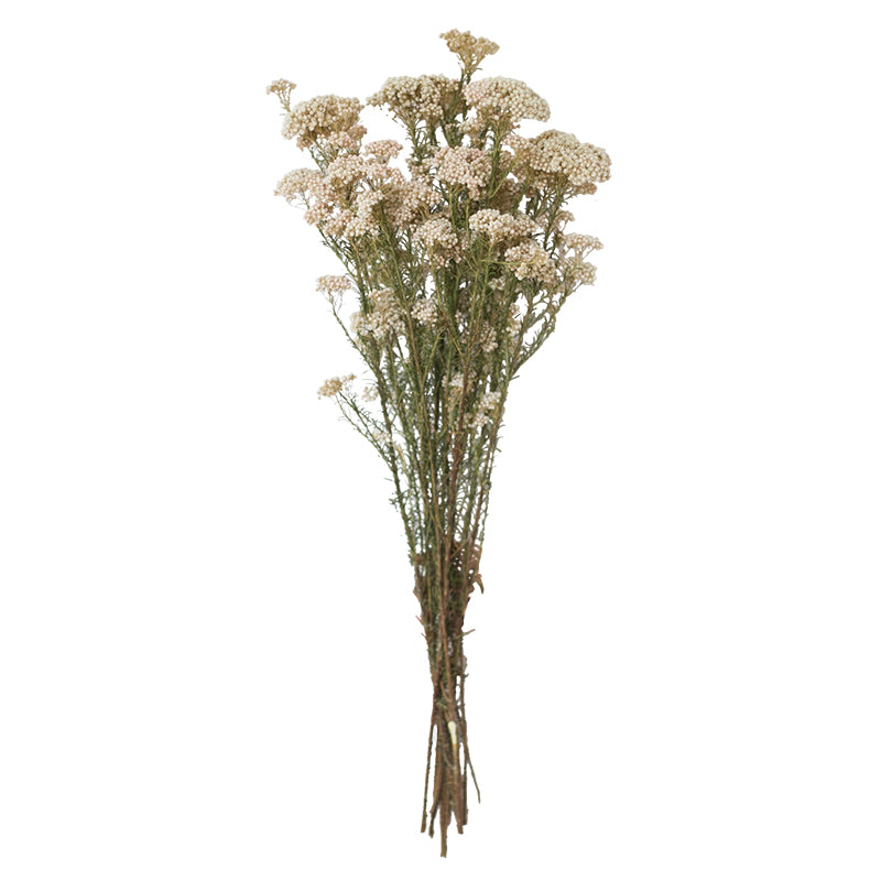 Signature Hand-Tied Dried Flower Bouquet - Curated Farmhouse Centerpiece for Coffee Tables & Entryways