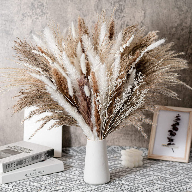 Boho-Chic Natural Dried Pampas Reeds - Hand-Selected Decorative Bouquet
